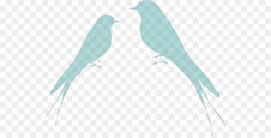 Vogel Papagei Cliparts - Vogel
