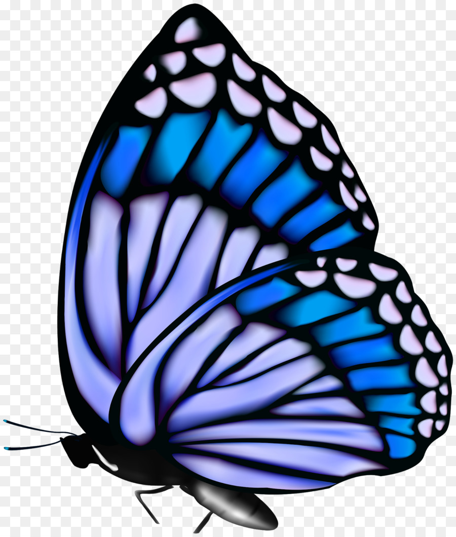 ClipArt farfalla monarca - guanti clipart