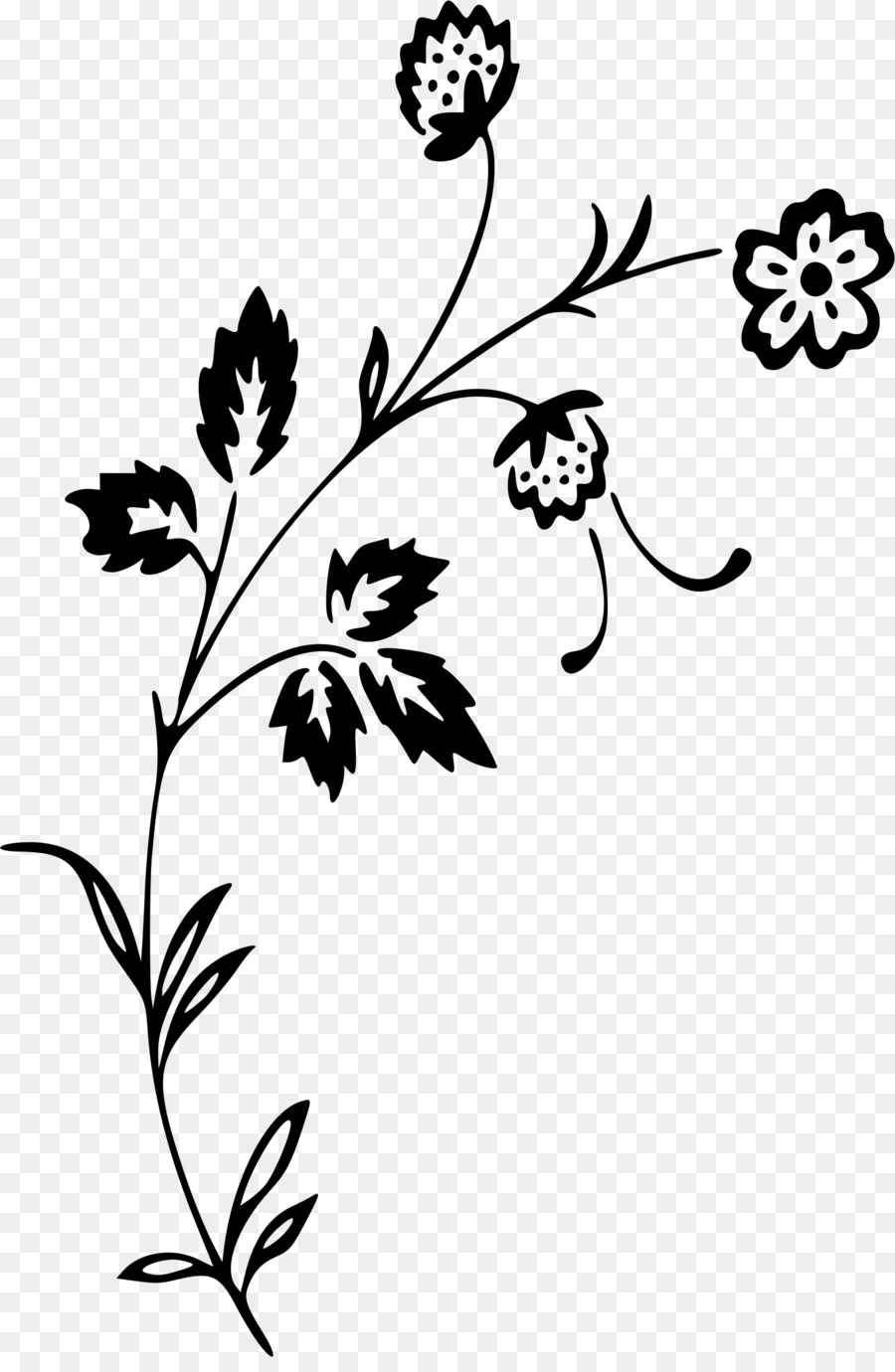 Clipart - Chrysantheme Blumen