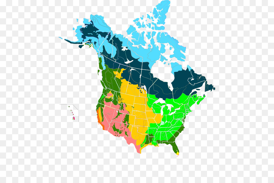 Vereinigte Staaten Kanada Vektor Karte - Vereinigte Staaten
