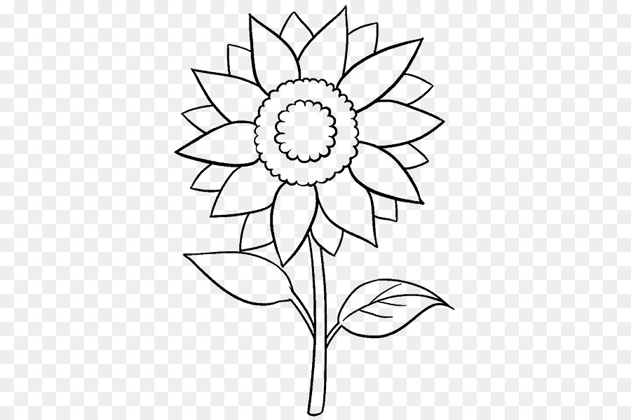 Zeichnung Common sunflower-Line-Kunst-Skizze - andere