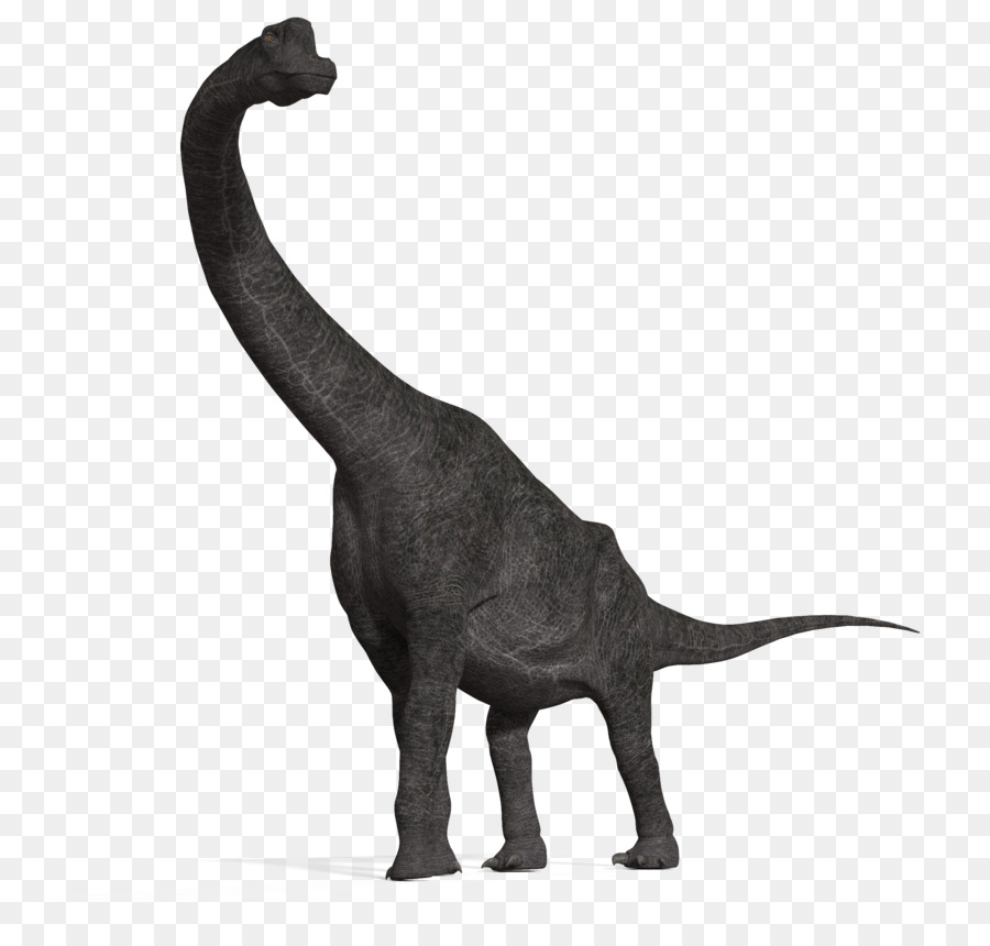 Khủng Long Ãn Lá Cây Loài Vật Này Và Chân Không Tyrannosaurus - Khủng long