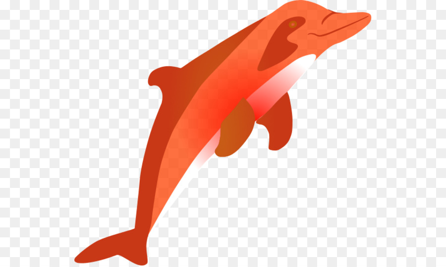Bottlenose dolphin Computer Icone clipart - Delfino