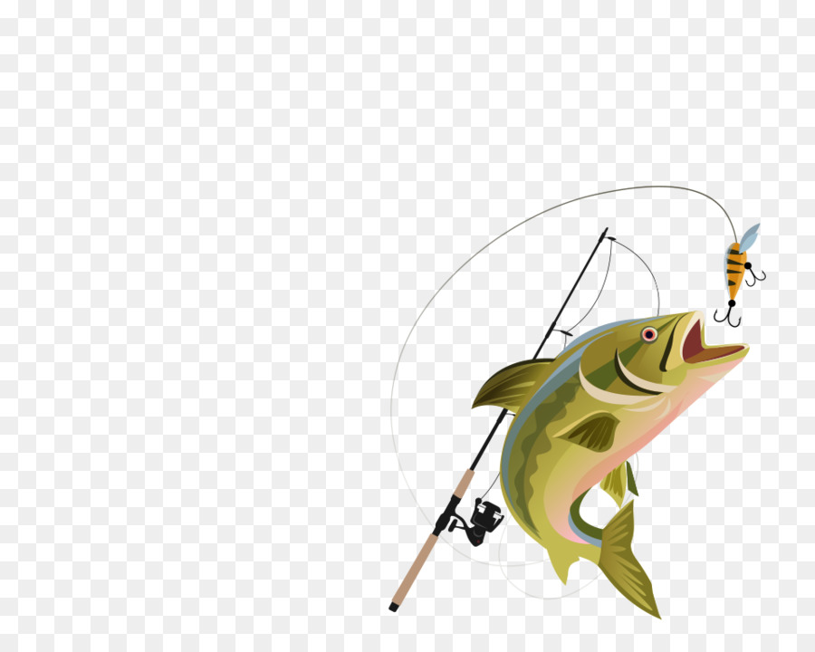 Cá móc câu Cá câu Cá Clip nghệ thuật - câu cá