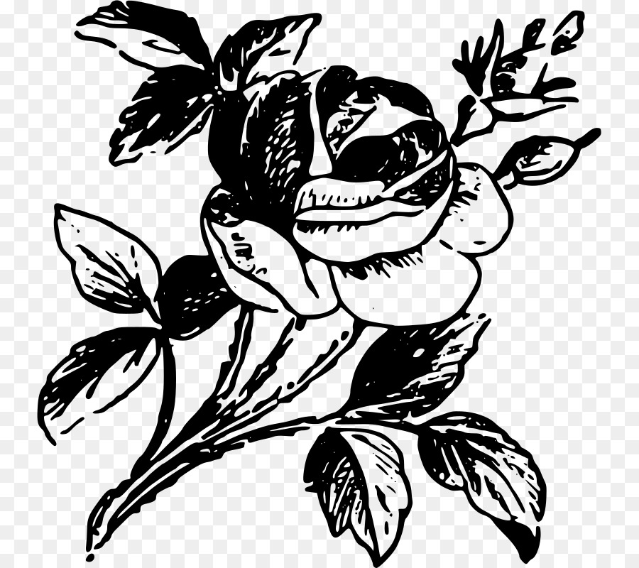 Rose Zeichnung-Schablone Kunst - Rose