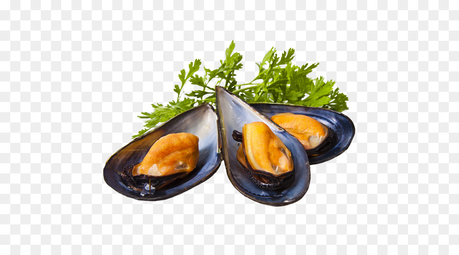 Mediterrane Muschel-Meeresfrüchte-Restaurant - andere