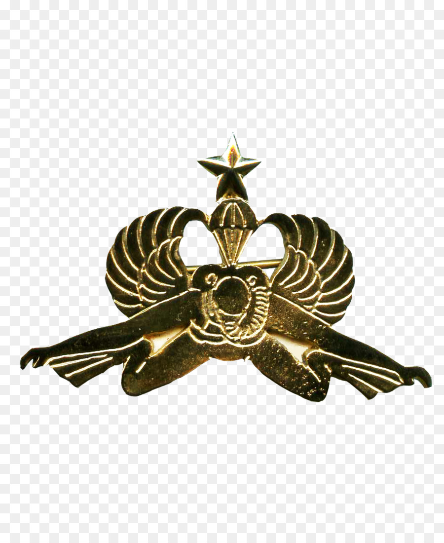 Thủy quân lục chiến Huy hiệu, Indonesia, Thủy Quân lục chiến Beret đổ Bộ trinh sát - tinh tế phù hiệu