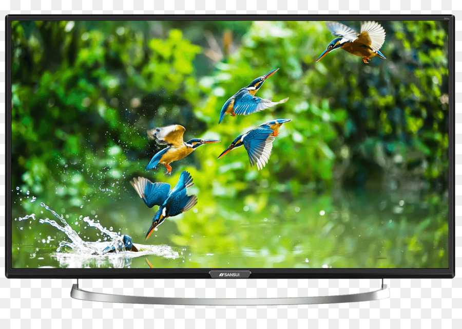 LED Hintergrundbeleuchtung LCD High definition TV Sansui Electric Smart TV - led tv