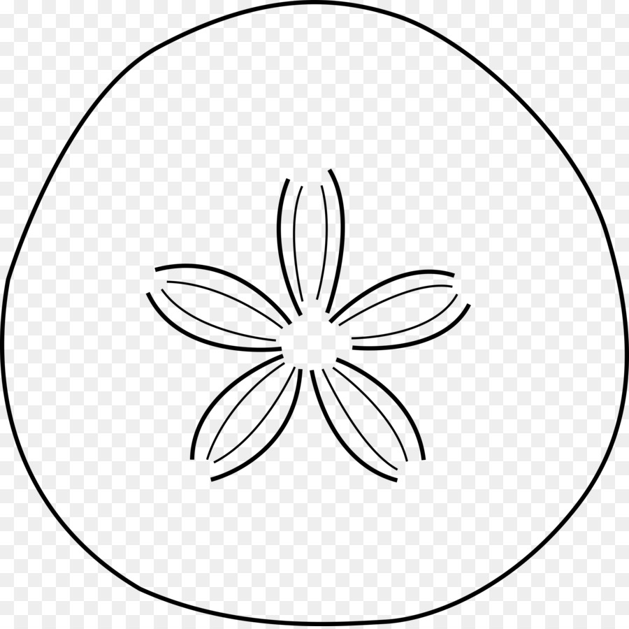 Sand dollar Seestern clipart - andere