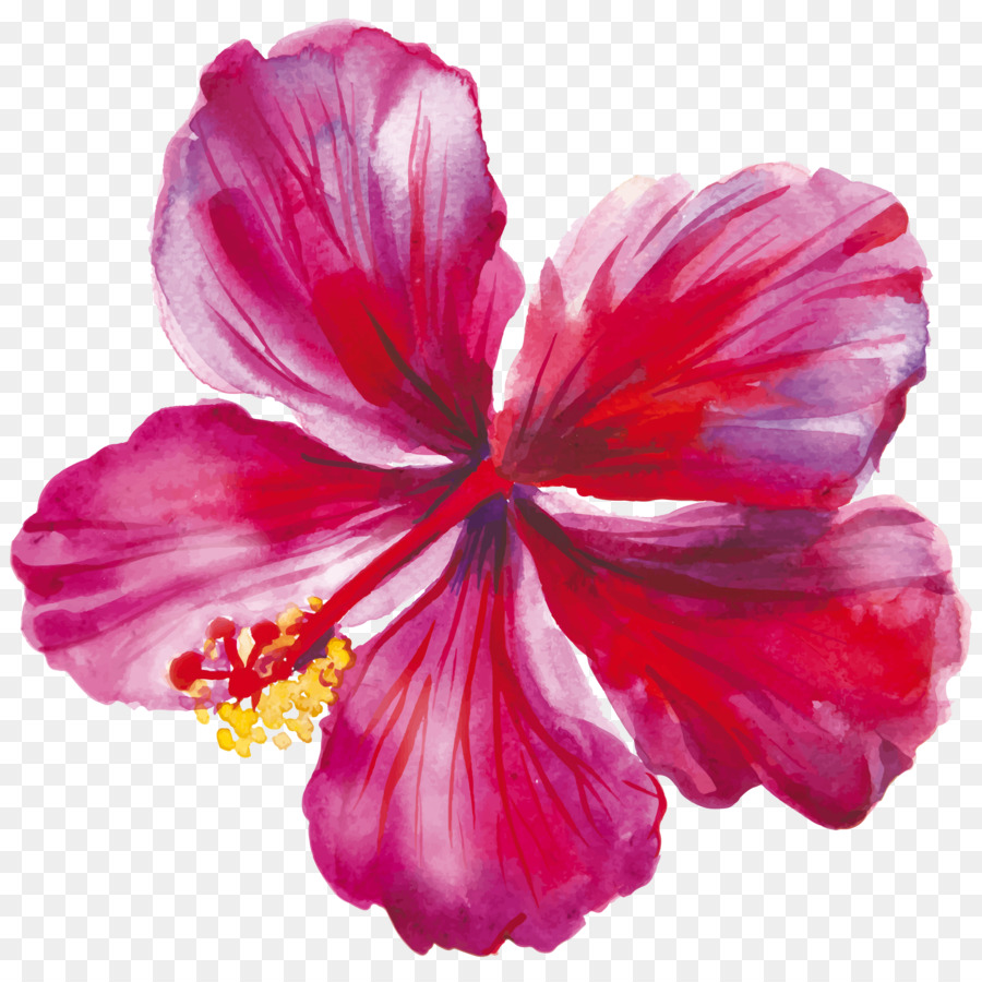 Hibiskus-Zeichnung Blume - Blume