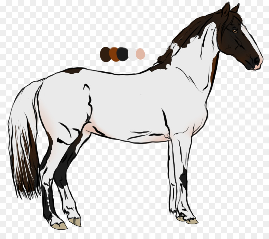 Mähne Fohlen Hengst Pony Stute - Mustang