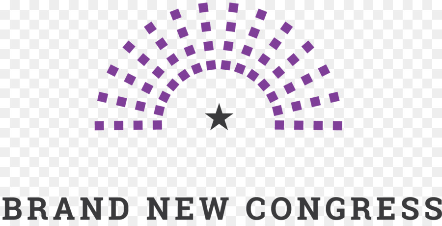 Quốc Hội hoa Kỳ Brand New Congress Michigan thứ 6 của quốc hội quận công Lý đảng Dân chủ - đoàn kết