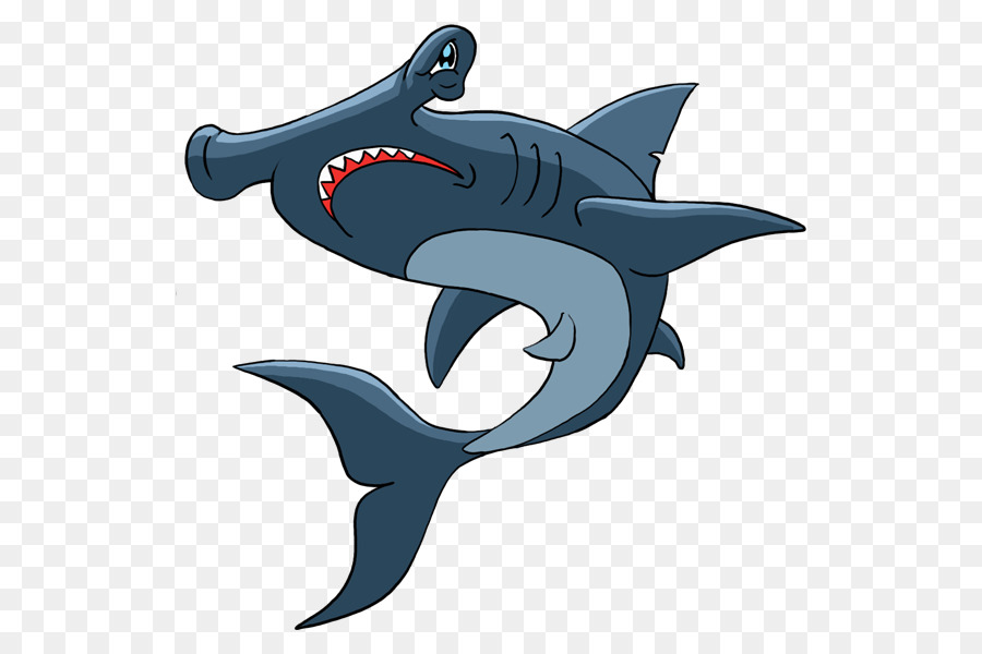 Hổ cá mập, cá mập Requiem Dolphin - cá mập