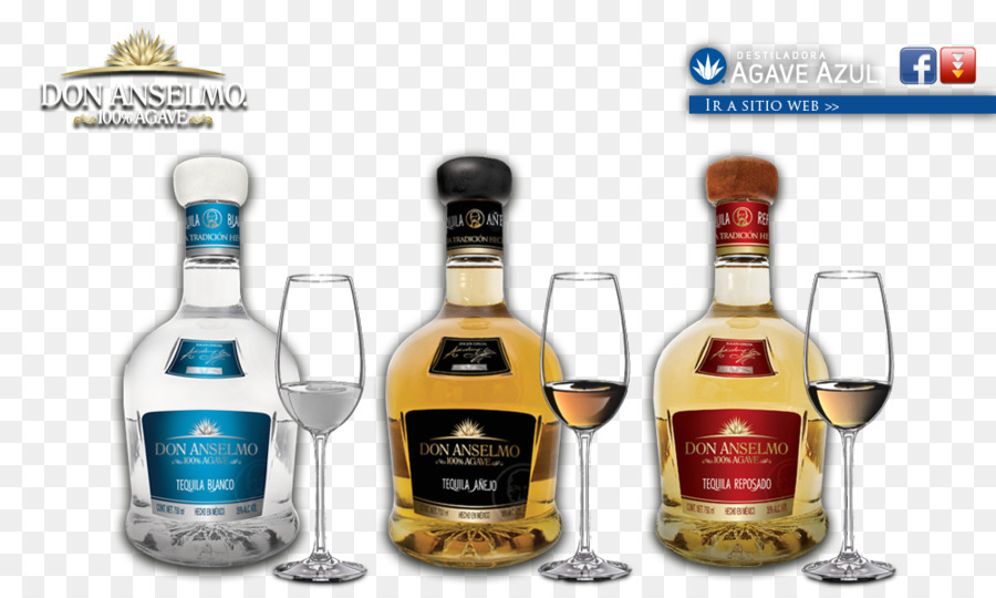 Likör Tequila Agave azul Whisky Destillierte Getränke - Flasche