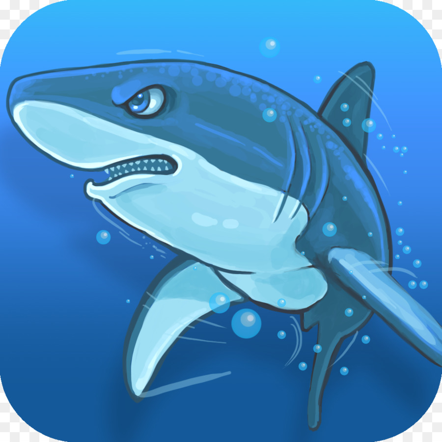 Tiger shark squalo bianco Lamniformes Requiem di squalo, Delfino - Q versione di Squalo