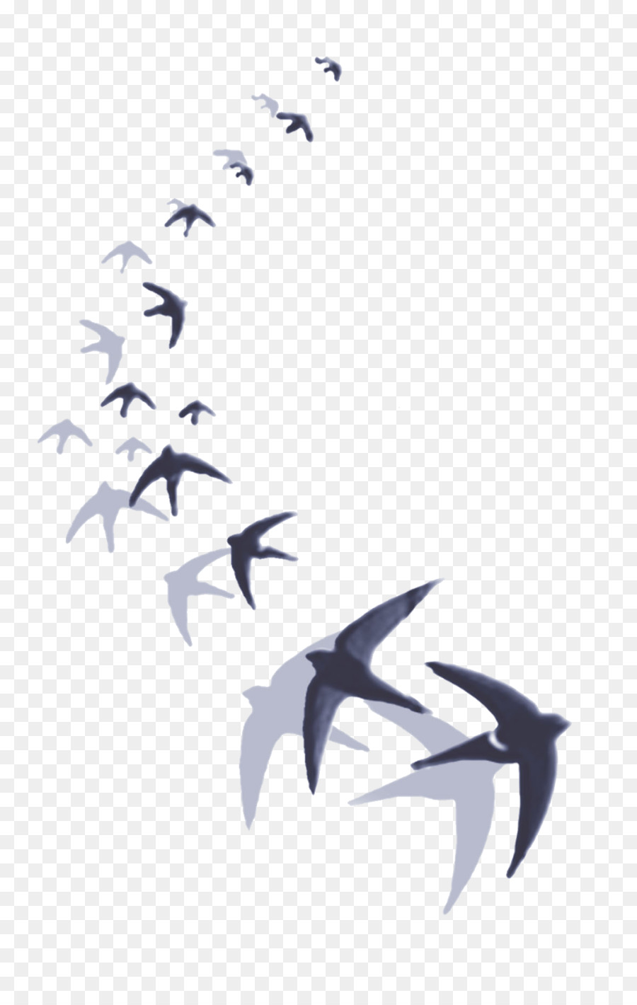 Barn swallow Hirundininae Zeichnung Vogel - andere