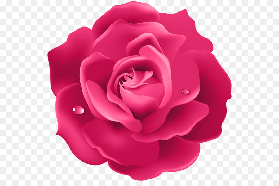 Desktop-Tapete Rose Blume 4K-Auflösung - Rose