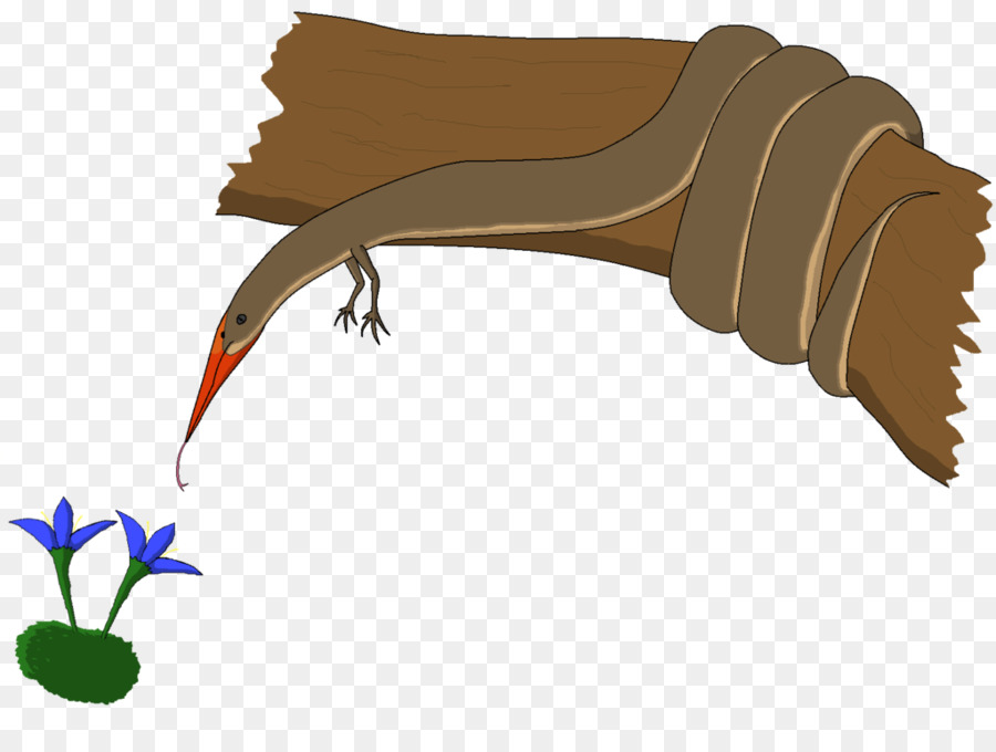 Speculativi evoluzione Pterosauri Arte Biologia - altri