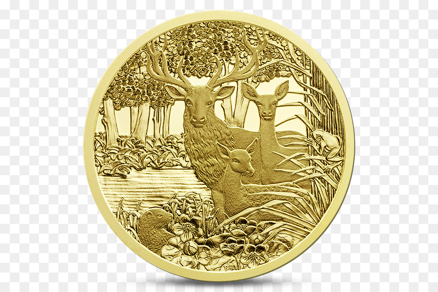 Moneta del Premio di Anno delle monete in Euro, monete in Oro Numismatica - Moneta