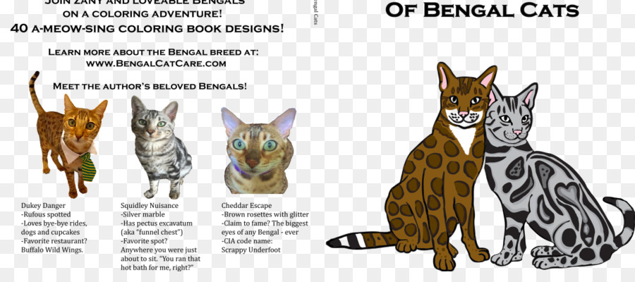 Il Grande Libro da Colorare del Bengala Gatti Maine Coon Ragdoll California Spangled - gattino