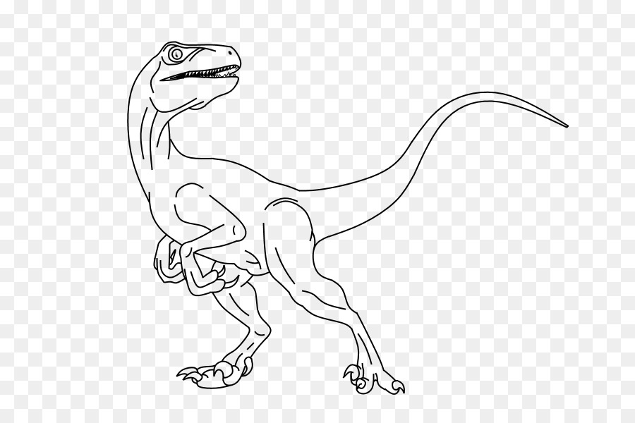 Velociraptor Linea arte Disegno Dinosauro - Dinosauro