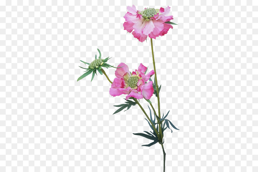 Rosa Schnitt-Blumen-Pflanze-Stiel Krautige pflanze - künstliche Blumen mala