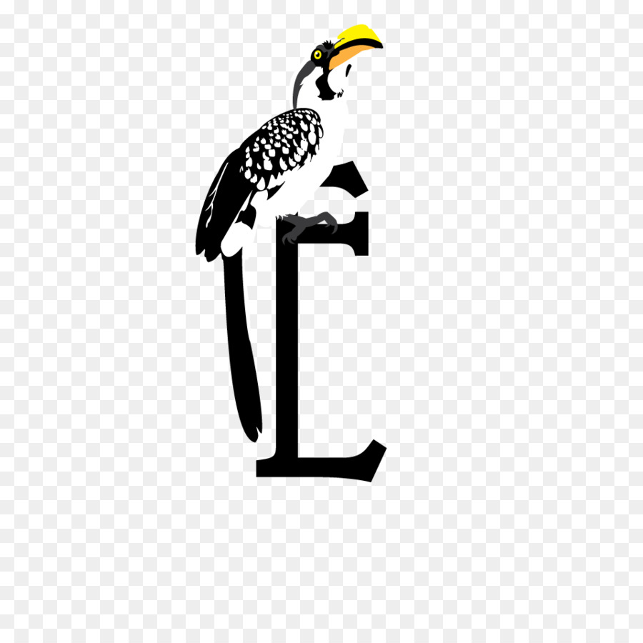 Schnabel Hornbill-Vogel Clip-art - Vogel
