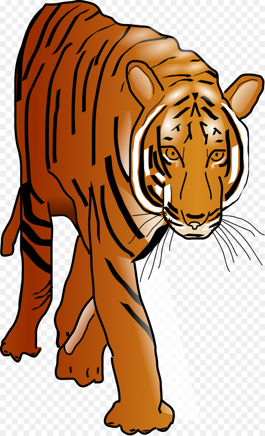 Löwe, bengalischer tiger Clip-art - Löwe