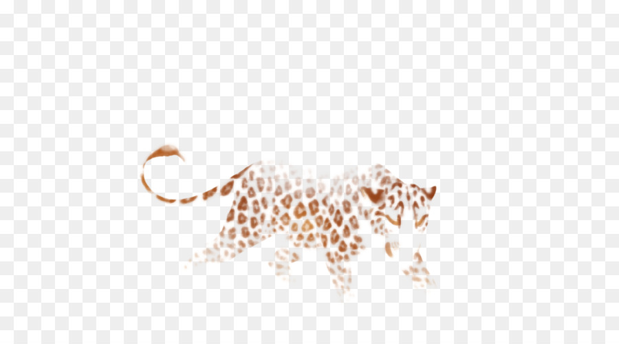 Leopard Cheetah Felidae Giraffa Leone - leopardo
