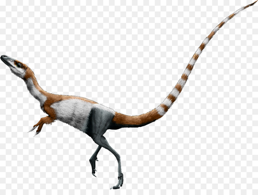 Sinosauropteryx Falcarius Conchoraptor Chim Daspletosaurus - con chim