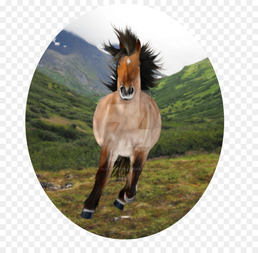 Mähne Mustang-Stute-Hengst-Fohlen - pferdekopf Druck