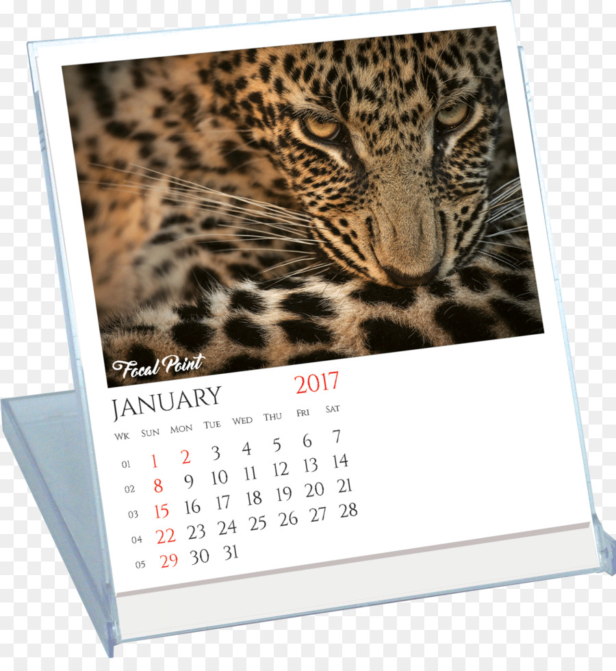 Leopard Jaguar Kalender Tierwelt - Leopard