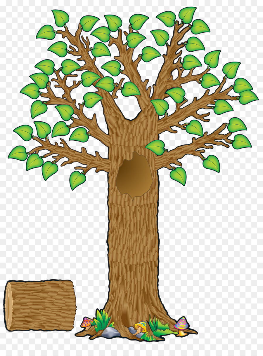 Bulletin Board Tree Lehrer Education Student - der Baum mit vier Jahreszeiten