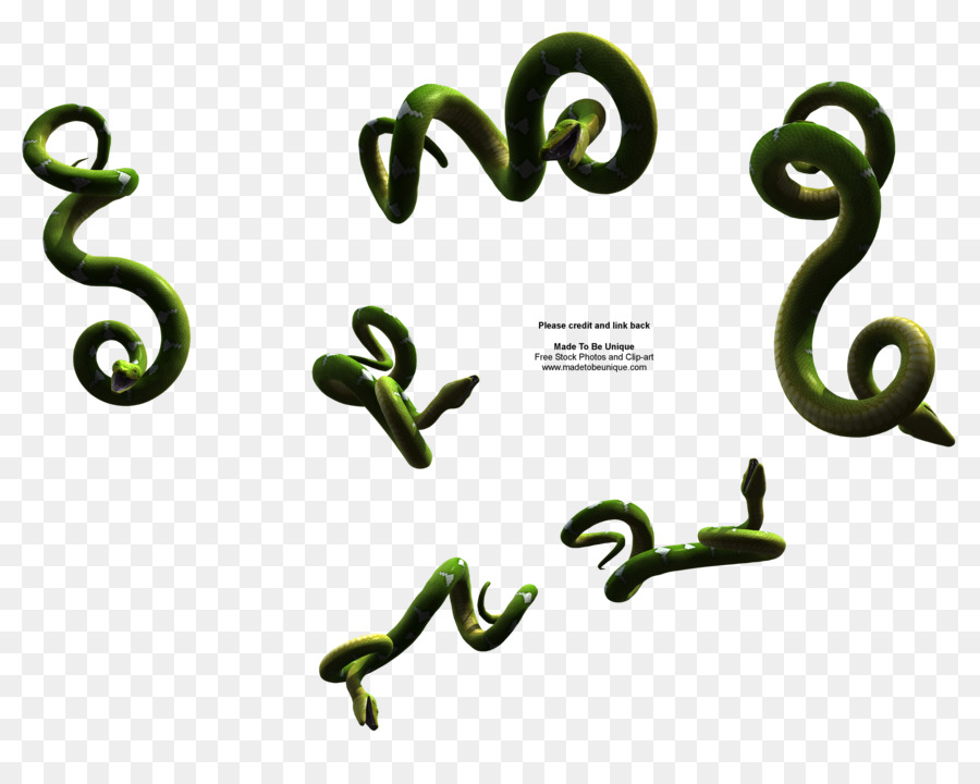 Schlange Reptil Clip art - Schlange