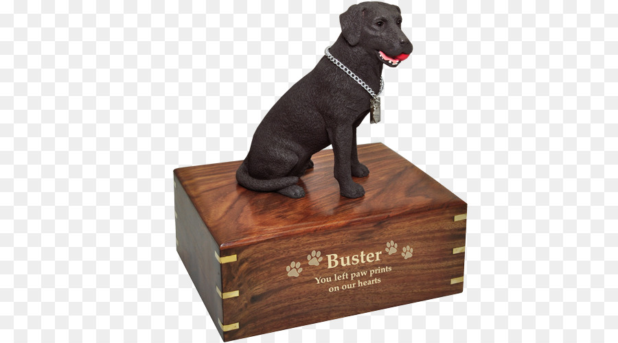 Labrador Retriever Welpe Hund der Rasse St. John ' s water dog Golden Retriever - Welpen