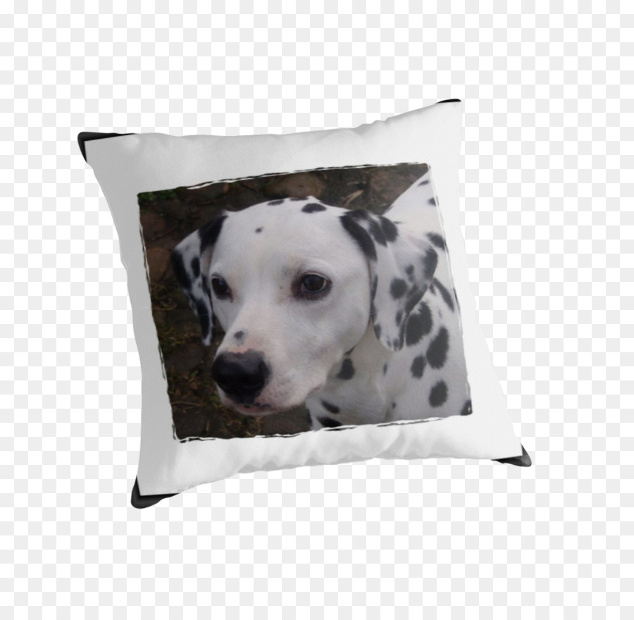 Dalmatiner Hund-Hund Rasse-Throw-Kissen-Kissen - Kissen