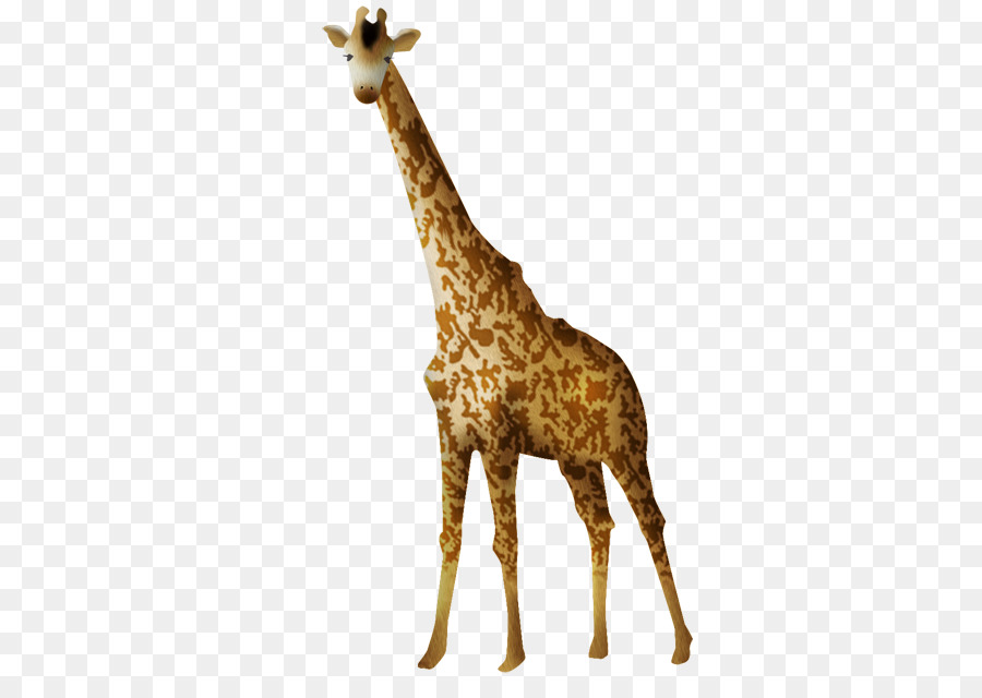 Nord-giraffe Animation Clip-art - Animation