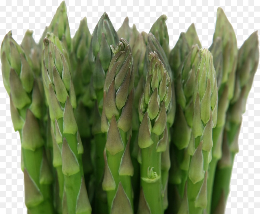 Asparagi Vegetali Di Erbe Alimentari Di Salute - vegetale