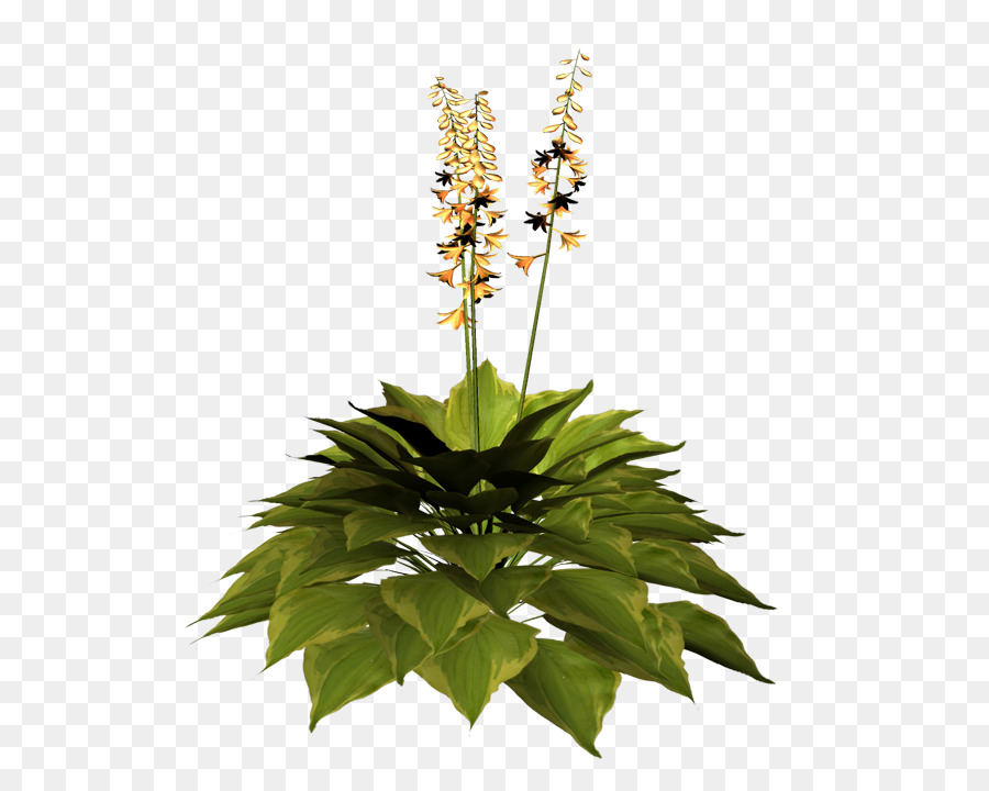 Fiori recisi Vaso di fiori Erba Fioritura della pianta - altri