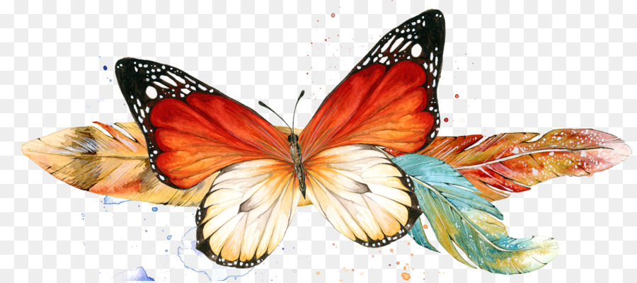 Monarca, farfalla, Falena Nymphalidae Orecchino - boa di piume scialle