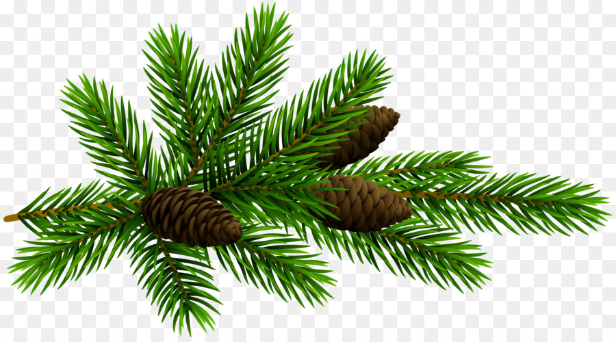 Christmas Tree Branches PNG Transparent Images Free Download