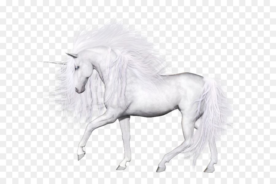 Unicorn Horse Clip Art - Einhorn