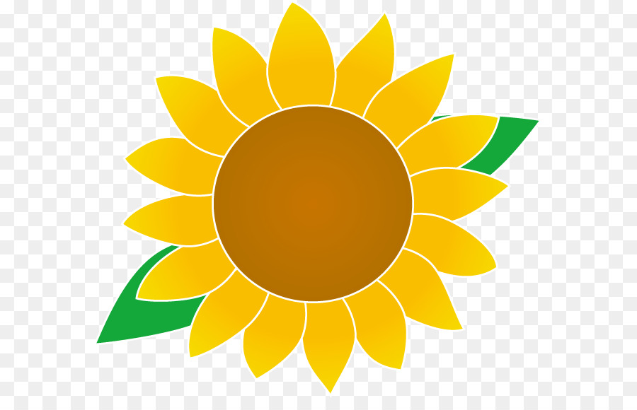 Gebührenfreie Gemeinsame Sonnenblume - andere