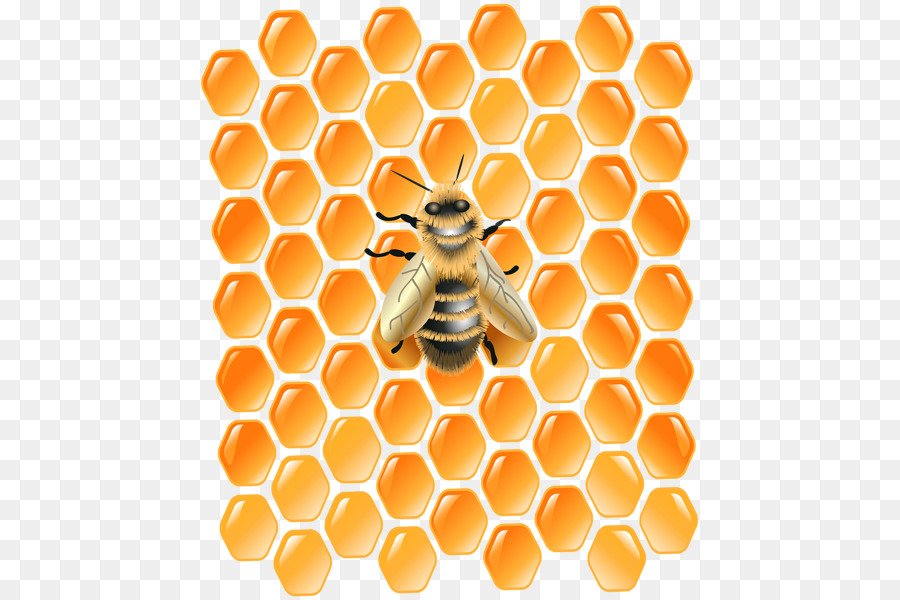A nido d'ape Occidentale honey bee Sfondo del Desktop Clip art - ape