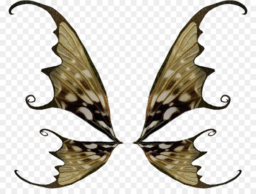Vogel, Schmetterlinge und Motten Märchen Clip art - andere