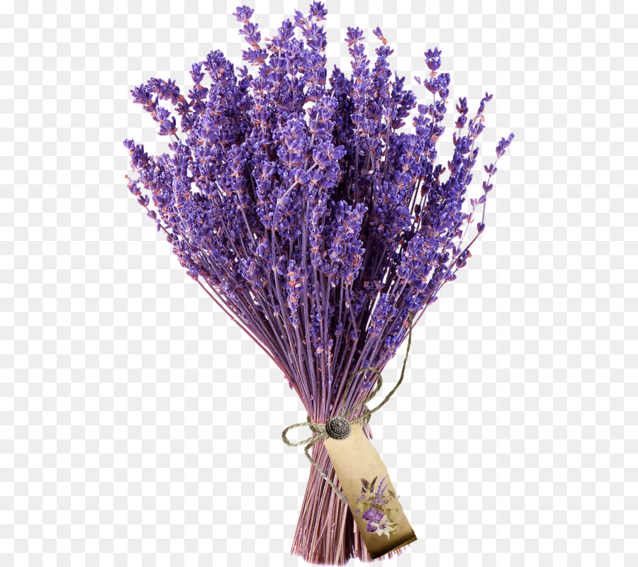 Gambar Bunga Lavender - Koleksi Gambar Bunga