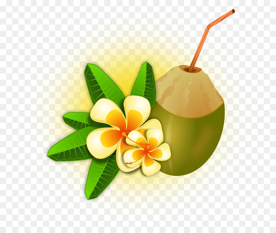 L'acqua di cocco Tropici Clip art - altri