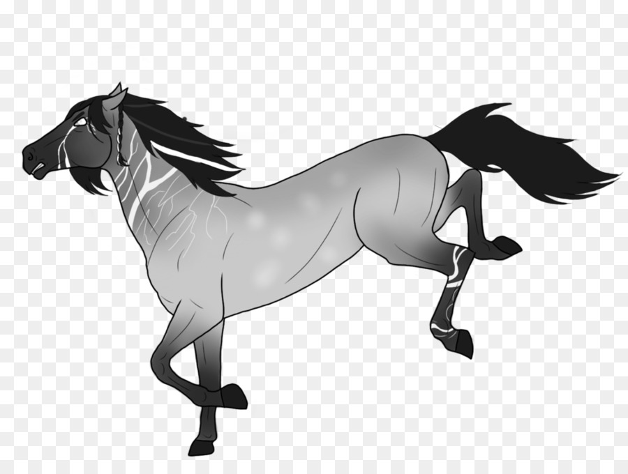Mähne Fohlen Hengst Pony Mustang - Mustang