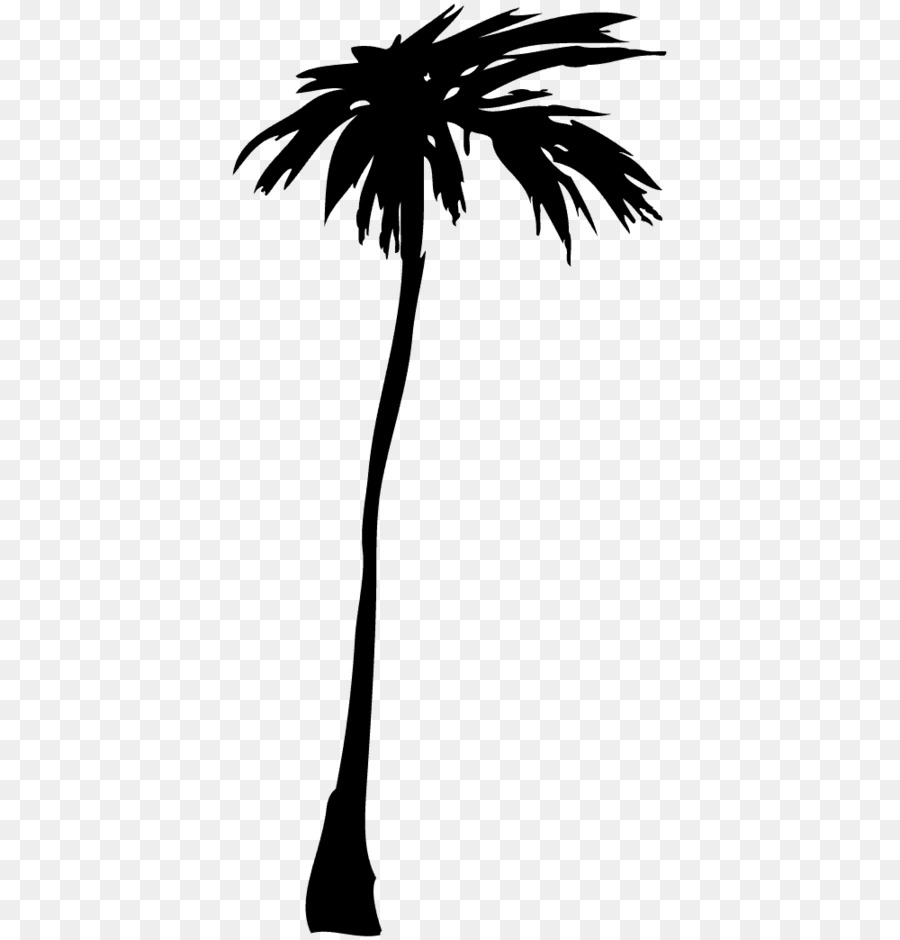 Asiatische palmyra palm Illustrator - andere