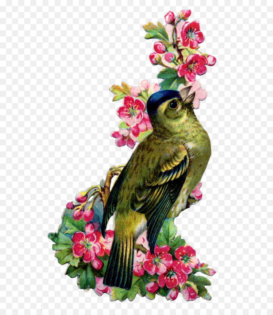 Uccello Ingoiare abbigliamento Vintage Fiore Piuma - uccello